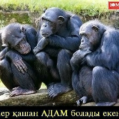 Feruza Djabbarova, 24.03.1996