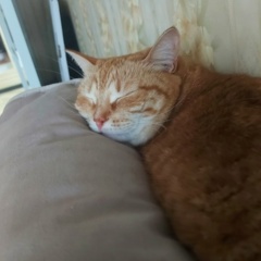 Анастасия Кузнецова, 11.05.1989, Санкт-Петербург