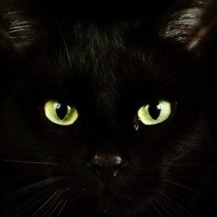 Оксана Соломонова, 06.02.1986, Москва