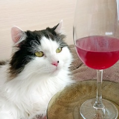 Никита Лагунов, 13.02.1994, Ижевск