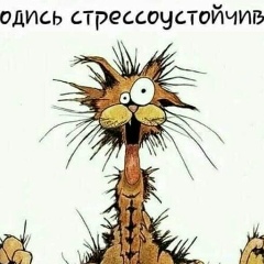 Светлана Билан, 05.06.1974, Бельцы