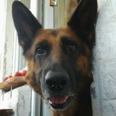 Александр Валериевич, 22.09.1988