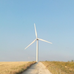 Алексей Саныч