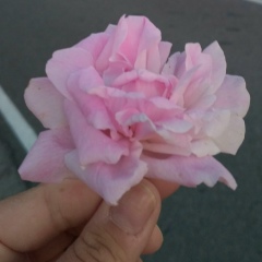 Яна Михайлова, 04.09.1982, Тверь