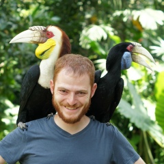 Борис Гельфер, 07.10.1987, Москва