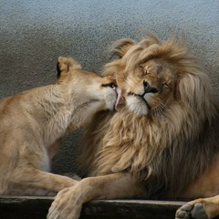 Бекжан Акканов, 30.05