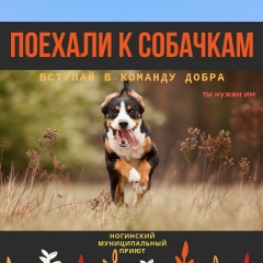 Евгений Неразжигаев, 12.10, Ставрополь