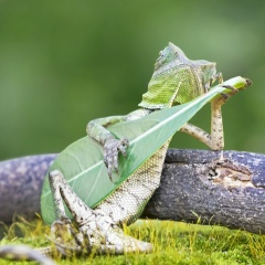 Dima Kovalenko, 28.10.1989, Киев