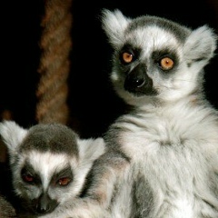 Артем Иванов, 10.08.1985, Москва