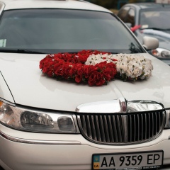 Дина Самойлова, 06.01.1985, Киев