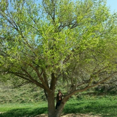 Жамиля Даулетбаева, 10.02.1995, Актау