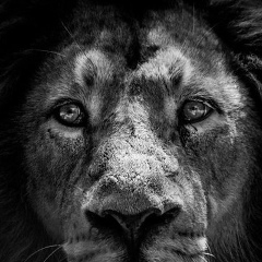 Иван Сергеевич, 22.08, Санкт-Петербург