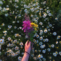 Кира Великая, 24.06.2000