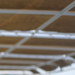 Марина Григорева