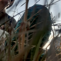 Ireene Ireene, 29.02