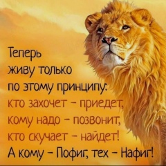 Найля Агишева, Шымкент