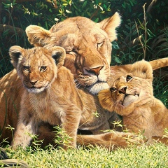 Лилия Латыпова, 22.12, Казань