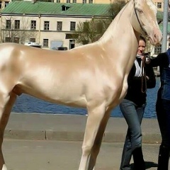Галина Ковальчук, 05.01, Николаев