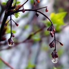 Ольга Евсейчик, 03.10, Гродно