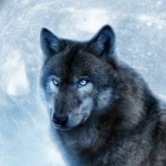 Алик Байдаев, 02.04.1979, Грозный