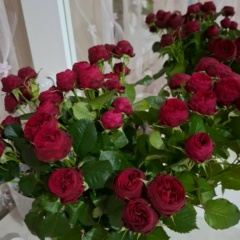 Евгения Королева, 02.08, Новосибирск