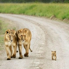 Мария Коршак, 04.08, Минск