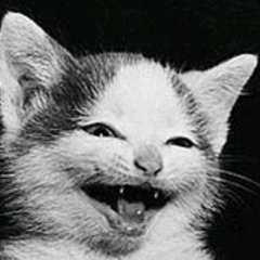 Айдимир Салаватов, 11.03.1993