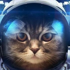 Андрей Преснухин, 10.05, Санкт-Петербург