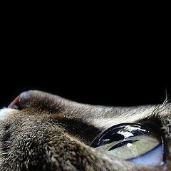 Марина Лугова, 26.12, Николаев