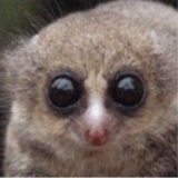 Роман Кутанов, 10.08.1980, Канев