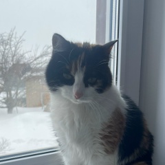 Lyuciya Yan, 28.05, Уфа