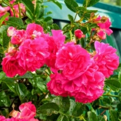 Марина Кадирова, 05.04.1996, Ставрополь