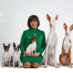 Яна Брук, 18.12, Санкт-Петербург