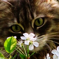 Светлана Юлмухаметова (Габитова), 16.12, Стерлитамак