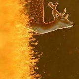 Юрочка Oo, 03.12, Москва