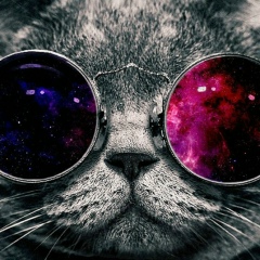 Владимир Дибров