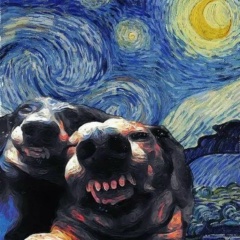 Viktoria Ceras, 23.10.1989, Москва