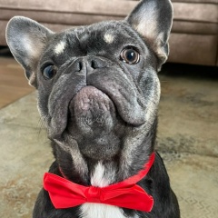 Александр Михайлов, 17.02.1981, Москва