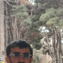 Эмиль Баширов, Петрозаводск