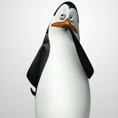 Татьяна Емлякова, 27.07, Middelburg