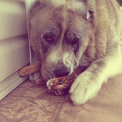 Sergio Wtdingrc, 06.11, Санкт-Петербург