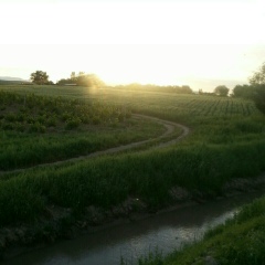 Махсуд Максудов, Челябинск