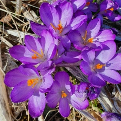 Ольга Алексеева, 16.10.1986, Москва