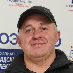 Андрей Мокрицкий, Вороново