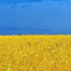 Дмитрий Парфёнов, Киев