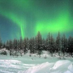 Елена Ахмедова