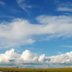 Андрей Волченков, Санкт-Петербург