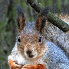 Леся Криворотько, 19.08, Киев