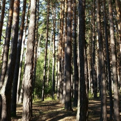 Тимур Жумабаев, 14.10, Атырау