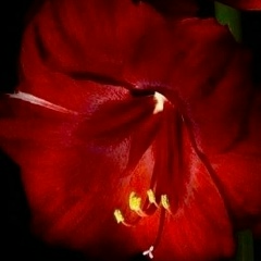 Евгения Антонова, 24.09